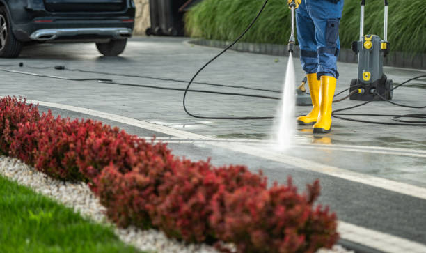 Local Pressure Washing Services in Mead, WA